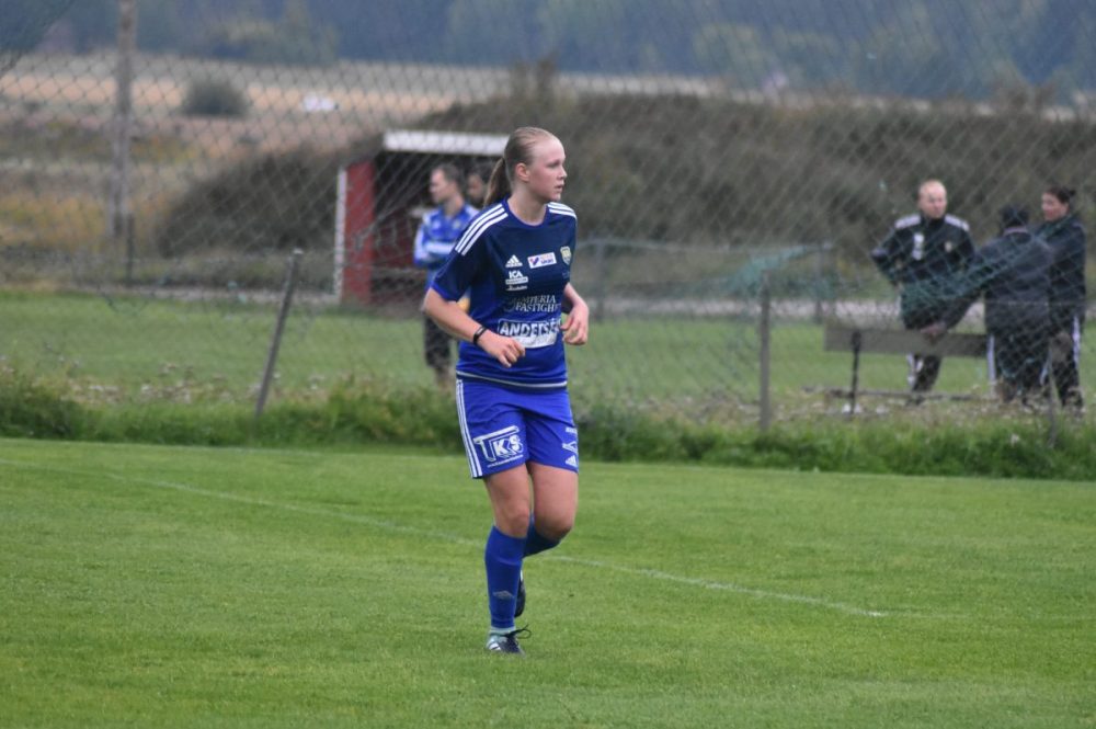 NSK nära seger mot VSK - ”Bästa matchen på länge” NSK nära seger mot VSK - ”Bästa matchen på länge”