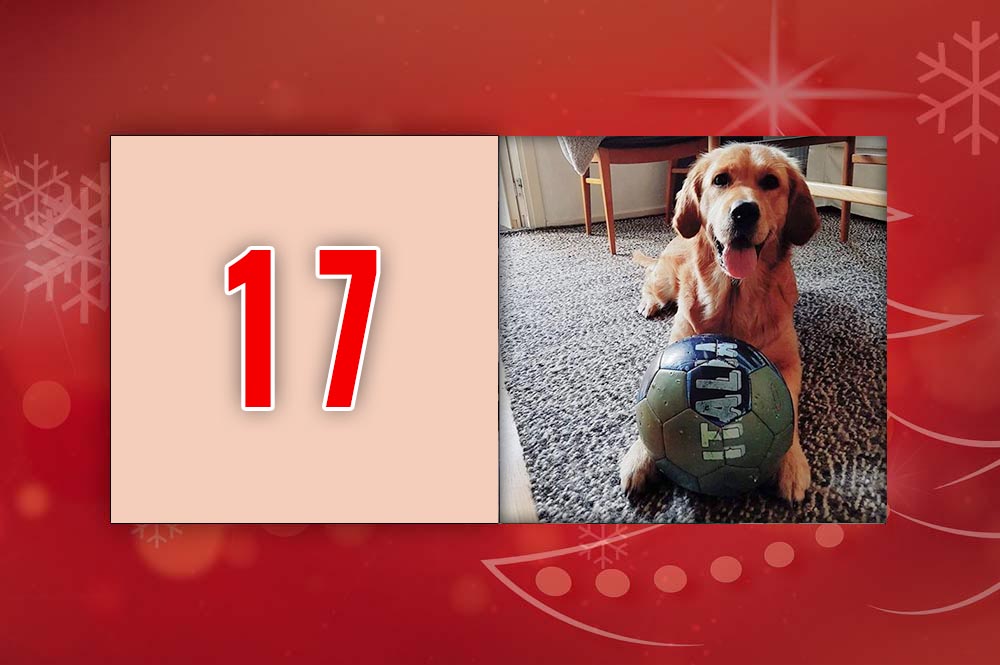 Sala-Heby Fotbolls adventskalender 2018 - Lucka 17