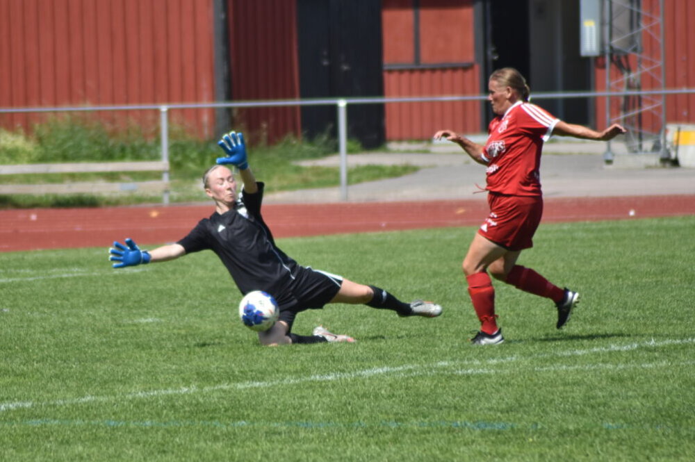 Bildspel från träningsderbyt på Lärkan Bildspel från träningsderbyt på Lärkan