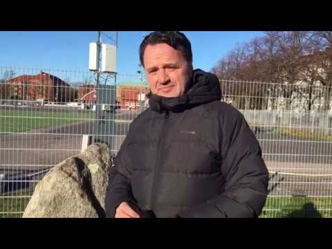 En resa i den lokala fotbollshistorien