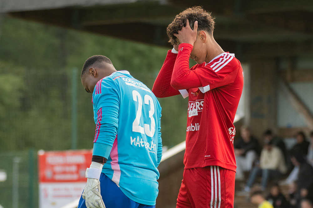 Ny genomklappning av Sala FF - ”En del ska nog fundera på varför de spelar” Ny genomklappning av Sala FF - ”En del ska nog fundera på varför de spelar”