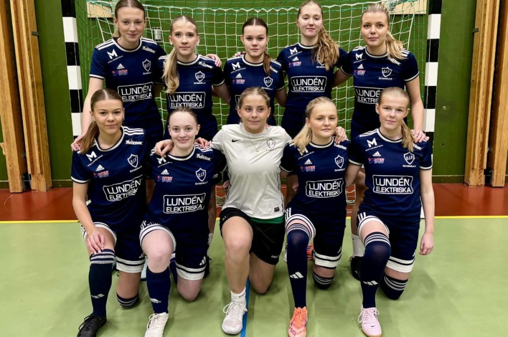 En seger från nytt SM-slutspel - "Måste upp i en bra nivå" En seger från nytt SM-slutspel - "Måste upp i en bra nivå"